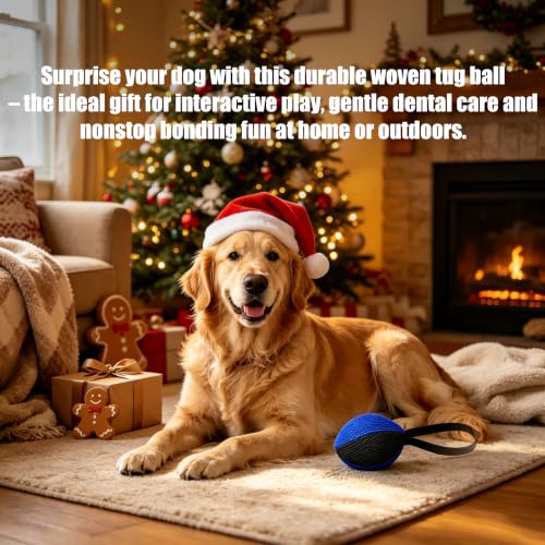Lynwave Heavy Duty Dog Chew Ball for Aggressive Chewers, Interactive Bite Ball for Tug of War Fetch, Dogs Indoor Outdoor (Blue) — view 5