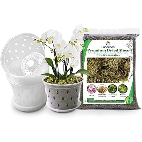 lanccona 6.7in 8 Pack Orchid Pots Set and 3 QT Sphagnum Moss for Planting All Types of Orchids Cover