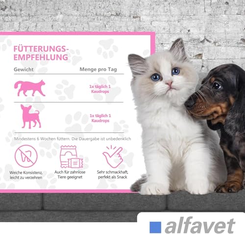 alfavet FeliGum Gingiva, unterstützt bei Zahnfleisch und Maulhöhlen Entzündung von Katze und Hund, Kaudrops, Ergänzungsfuttermittel, 120g