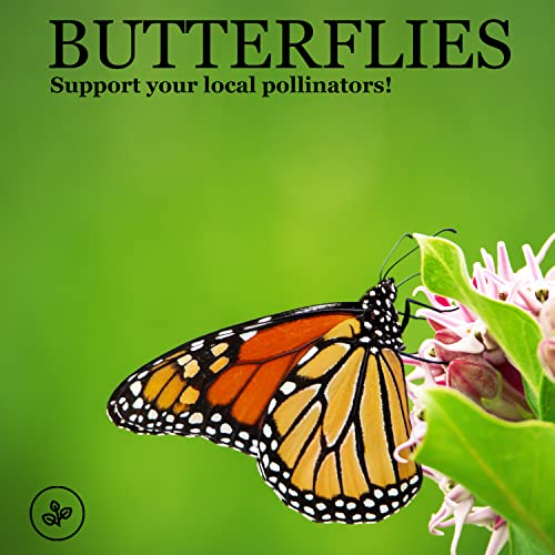 Sow Right Seeds Powder Puff Aster Seeds To Plant - Full Instructions For Planting And Growing A Flower Garden; Non-Gmo Heirloom Seeds; Wonderful Gardening Gift #TOP5