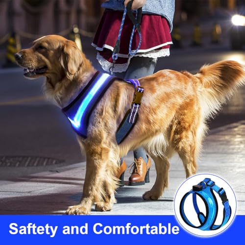 AUAUY Hundegeschirr Leuchtend, Leuchtgeschirr LED Aufladbar Reflektierendes, 3Modus Atmungsaktiv Leucht Geschirr mit 1.5M Leine Verstellbar Hunde Sicherheitswestenlichter für Nachtspaziergänge-Blau/XS