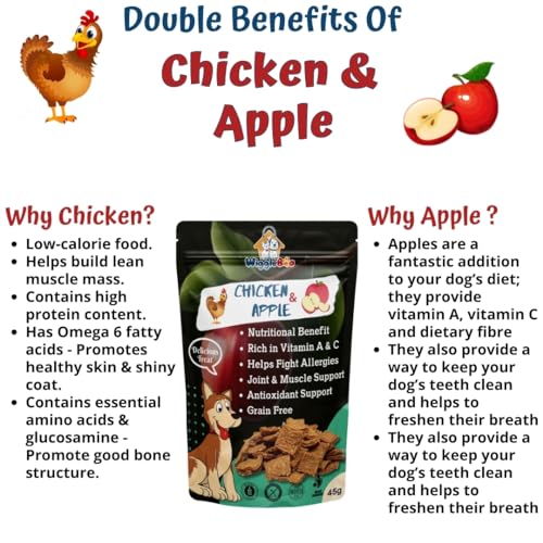Image of Chicken & Apple Treat for Dog | Travel Friendly Pack | Protein Rich | Great Antioxidants | Crunchy Healthy Snacks | 45g