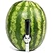 Watermelon Tap Kit - High Durability Stainless Steel Watermelon and Pumpkin Tapping Kit