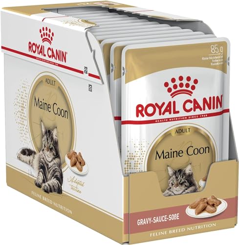 Royal Canin Cibo Umido Per Gatti Maine Coon - Confezione Da 12 X 85 Grammi