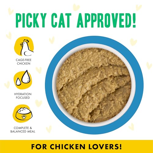 BFF Play Pate Chicken solution chat difficile qui boude sa gamelle de nourriture 147g - 11