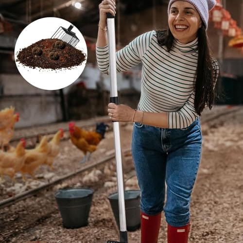 Pelle à poulet robuste en acier inoxydable pour litière de volaille - 7