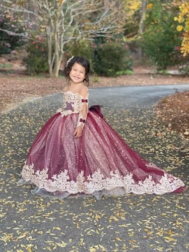 Lace Flower Girl Dresses for Wedding Long Train Sparkly Tulle Elegant with Bow First Communion Dresses3
