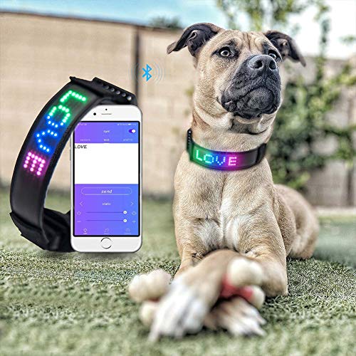 Puhui Collier LED pour Animal Domestique, contrôle par Application - Collier pour Chien - avec Recharge USB - Longueur réglable - Trois Modes d'éclairage pour Les Petits, Moyens et Grands Chiens Cover