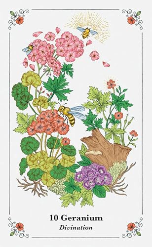 Image of Spirits in Flowers Oracle Deck: Includes 52 Cards and a 128-page Illustrated Book