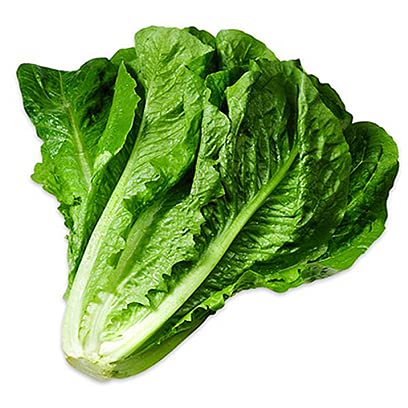 Biocarve Seeds Lettuce Romaine Seeds | Pack Of 1: 100 Seeds (B09BL44GJ4) Amazon Price History, Amazon Price Tracker