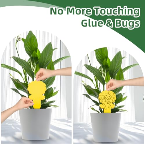 Image of 58 Pack Yellow Sticky Gnat Traps for Plants - Fungus Gnat Killer, Fruit Fly Traps for Indoors, Gnat Sticky Traps for Plants, Family Friendly Design, Ice Cream Shape