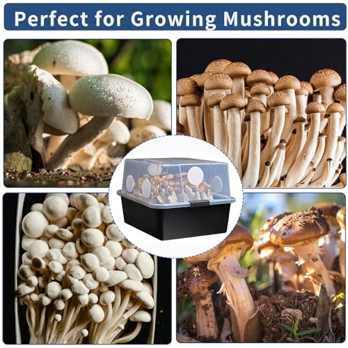 Image of 24 Pcs Monotub Adhesive Filter Disks 2.5 inch - 2MM Thick Synthetic Filter Paper Stickers for Mushroom Growing Supplies, Replacement Filter Pads for Mono Tub