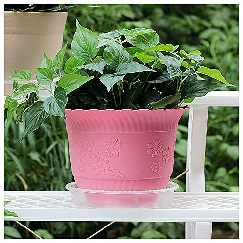 CandyHome 6 Pieces of 10 Inch Plastic Clear Plant Saucers Pot Trays for Indoor Outdoor Household and Garden Assorted, 1-White