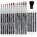 TOROKOM 19 Pcs Acrylic Nail Brush Set, Nail Art Brushes Pen including Gel Polish Painting Flower Design Dotting Dust Brushes for Woman Nail Art Acrylic Application Tool(Navy-Blue)