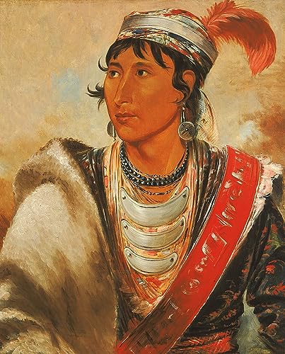Tableaux Graffiti Art Mural Poster Impression Moderne George Catlin 60x90