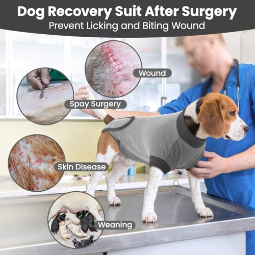 Image of IDOMIK Dog Recovery Suit for Neuter Spay,Anti-Licking Dog Surgical Bodysuit