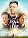 The Tree Of Life