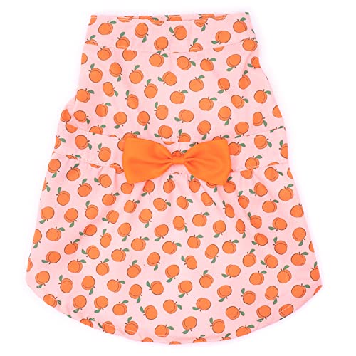 Vestido para perro The Worthy Dog tamaño X-Small