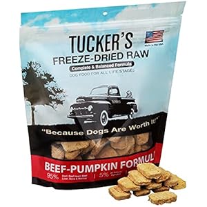 Tuckers Uncooked Frozen Freeze Dried Uncooked Canine Meals Beef Pumpkin Components 14oz Cucciolini Doodles Tuckers uncooked frozen freeze dried uncooked canine meals beef pumpkin components 14oz cucciolini doodles