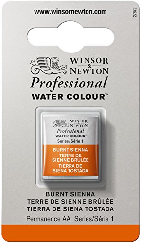 Winsor & Newton Professional Water Colour Paint, Half Pan, Burnt Sienna