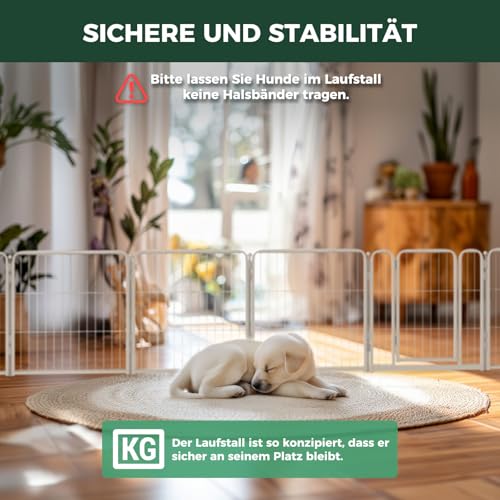 fxw Homeplus Hundelaufstall, Stabile 60cm 8 Drahtpaneele Welpengitter Hund für Welpen und Kleine Hunde, Weiß│Patentiert