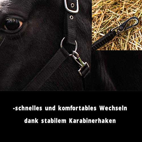 Licol réglable 2 fois Pferdelinis sûr pour cheval Vollblut Cob - 5