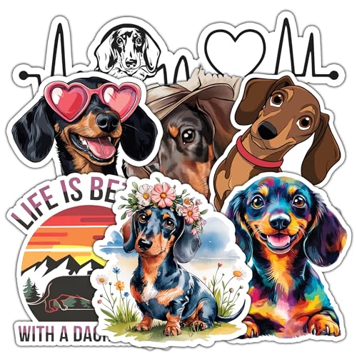 Image of Dachshund Sticker 8 Pcs (Large Size) Vinyl Stickers Laptop Waterproof Decal for Car Bumper Water Bottle Notebook Luggage Window Funny Party Birthday Decorations - Size 4 Inches