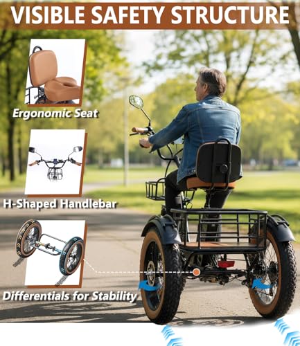 Electric Tricycle for Adult Folding etrike Adult Electric 3