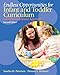 Endless Opportunities for Infant and Toddler Curriculum: A Relationship-Based Approach -  Petersen, Sandra, Paperback