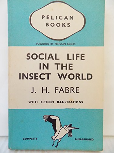 Social Life in the Insect World B003BXQG9M Book Cover