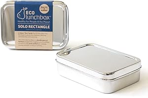 ecolunchbox: Durable Stainless Steel Box