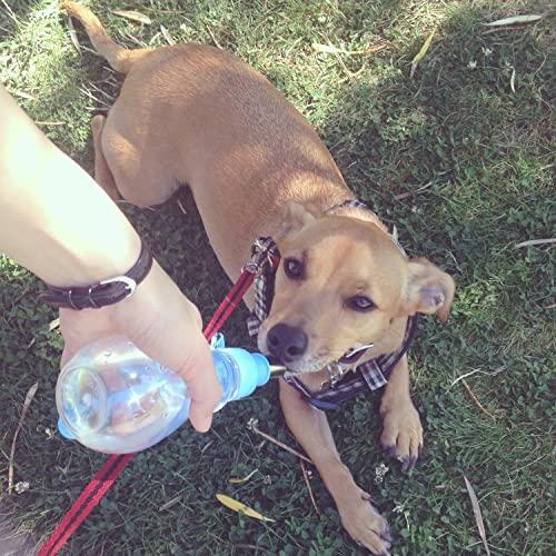 Image of Choco Nose No-Drip Portable Travel Water Bottle for Small Dogs & Cats - Lockable Leak-Proof Design Prevents Spills in Bags & Cars, Outdoor Feeder for Puppies & Toy Breeds, 8 fl oz (C258)