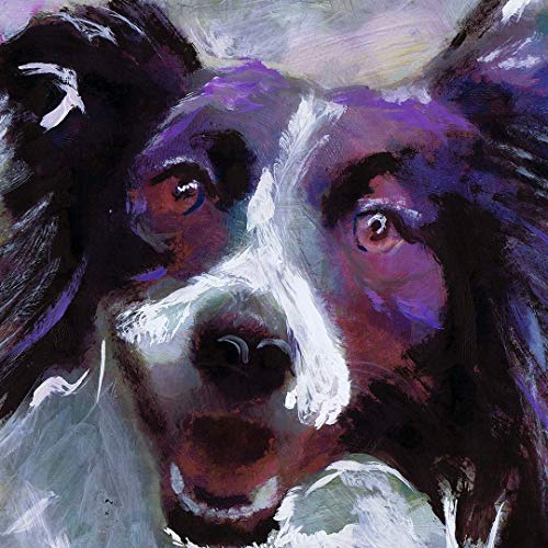 Wall Art Print with Happy Border Collie, Premium Hand Signed Art Prints for Home and Office Decor, 210GSM Matte Finish Paper - Image 2