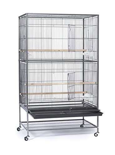 Prevue-Hendryx-Pet-Products-Wrought-Iron-Flight-Cage