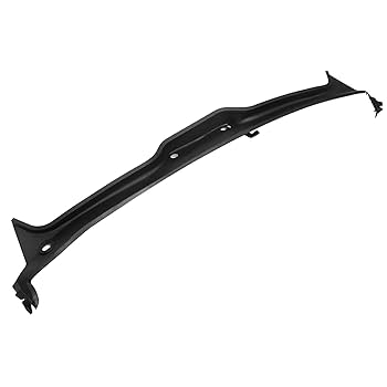 Amazon.com: FZJDSD Windshield Cowl Cover Panel 5171-7065284