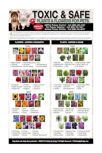 Emergency Pet Care Reference Poster Toxic Plants for Dogs Cats Chart Safe Houseplants Guide Poison Prevention Home Veterinary Clinic Wall Art(Unframed,08x12inch(20x30cm))