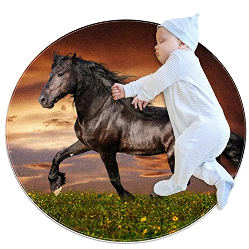 Tapis rond cheval des prairies nuageuses de 70cm pour décorer l'intérieur