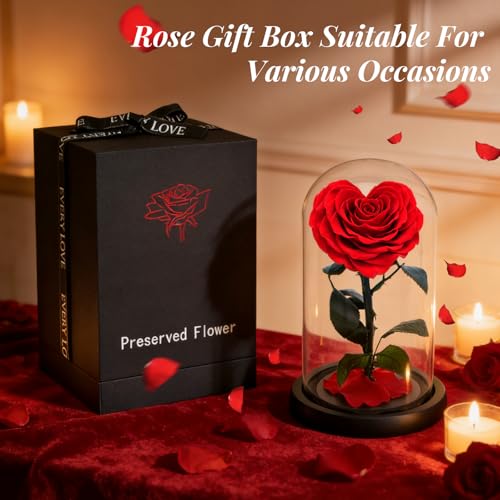 Rosa roja preservada en forma de corazón con cúpula de cristal miniatura 5