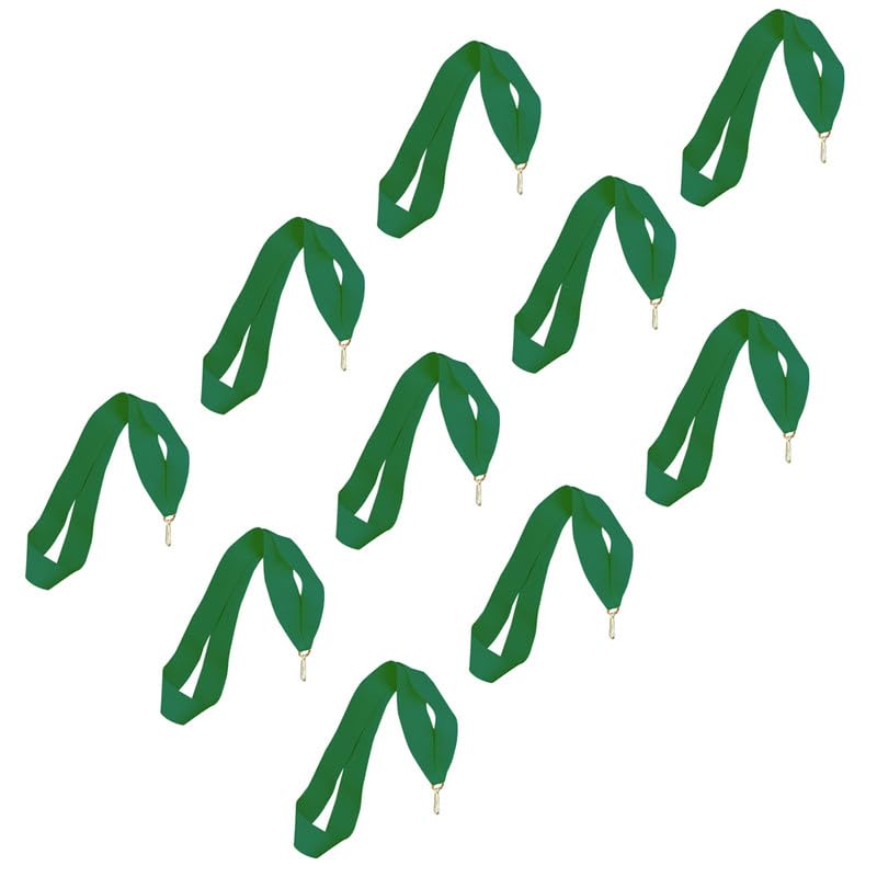 10pcs Award Ribbons Medal Ribbons with Snap Clips Lanyard for Medals Ribbon for Competition Sports Achievement,2.5 * 85cm