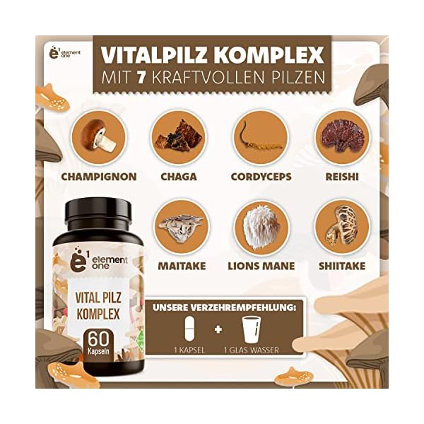 Vitalpilz Komplex - 60 Pilz Komplex Kapseln - 7 kraftvolle Pilze - Pilzkapseln aus Reishi, Cordyceps, Chaga, Maitake… – Bild 3