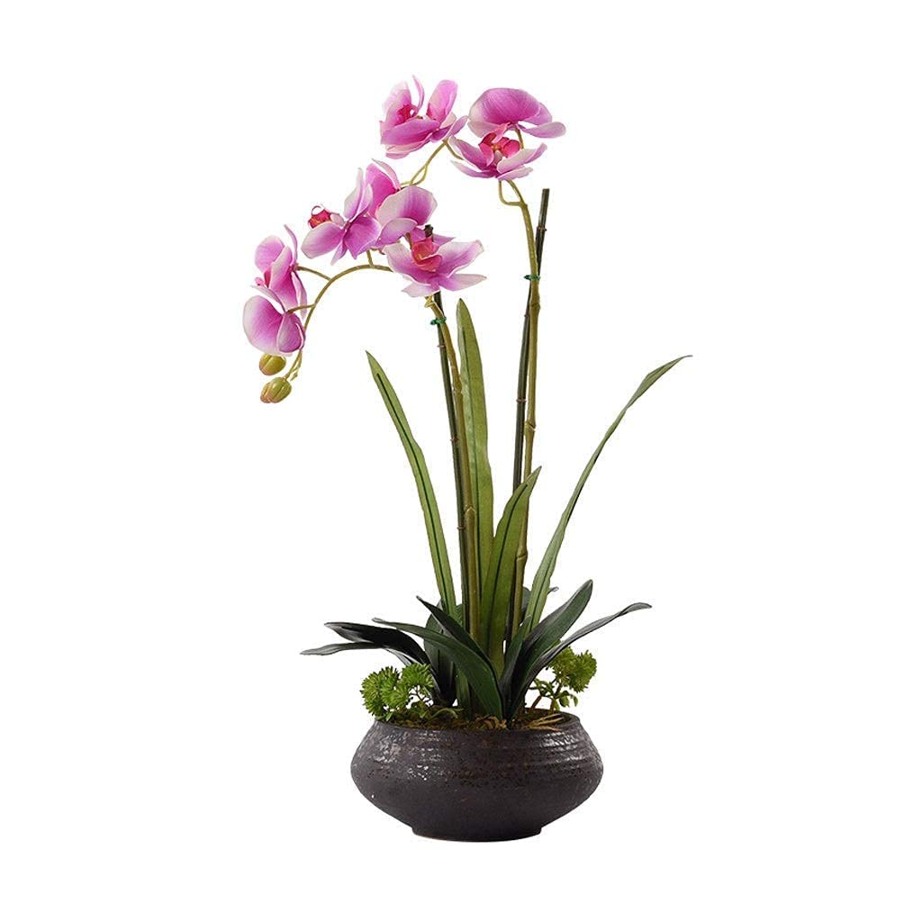 Bonsaï artificiel haut de gamme orchidée papillon et pot en céramique
