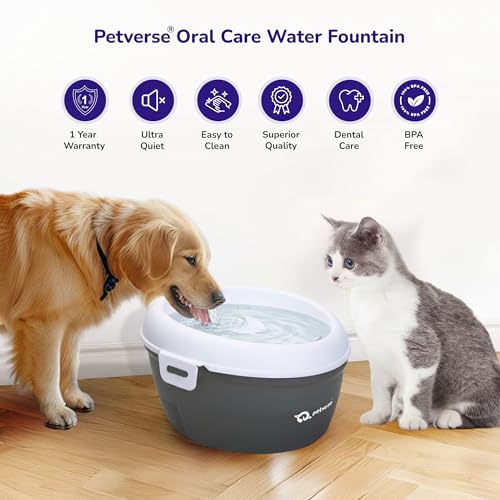 Image of Petverse Oral Care Pet Water Fountain 2L for Cats and Dogs, Electric Powered Water Dispenser, Cotton Filter System, Dishwasher Safe Design, Pet Hydration Fountain