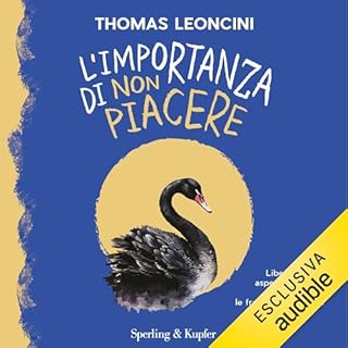 L'importanza di non piacere copertina