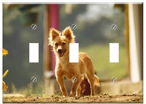 Switch Plate Triple Toggle - My Dogs The Field Armenia Quindio 4