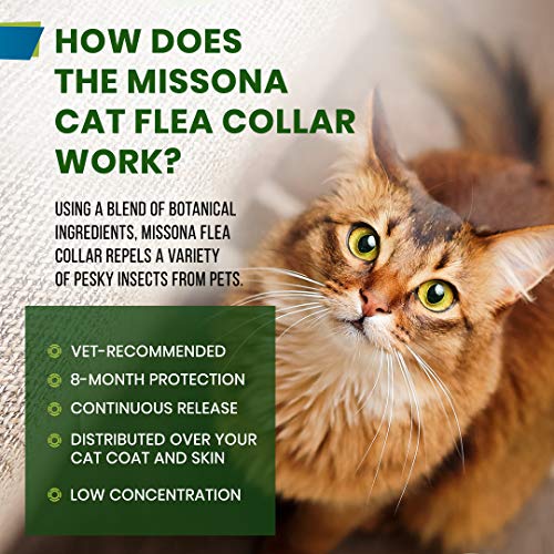 Missona Flea Collar for Cats and Kittens, Flea and Tick Collar for Cat, 8 Months Flea Prevention for Cats with Essential… - Image 2