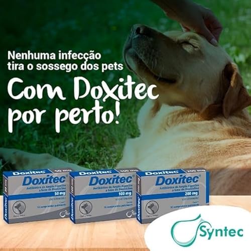 Doxitec 50mg para Cachorro Gato Pet 16 comprimidos Original Syntec Doxiciclina Doença do Carrapato