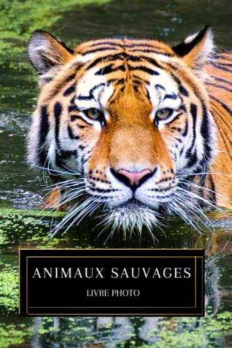 Livre photo des animaux sauvages : Cadeau adapté pour seniors et personnes souffrant de démence ou d’Alzheimer – 35 belles images d'animaux sauvages - Grand format