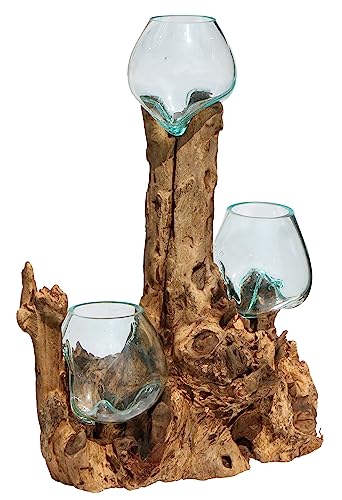 Wogeka - 3 jarrones de cristal sobre raíz de madera Gamal – en estilo moderno de madera como idea de regalo para Navidad cumpleaños decoración (TRIO10 (cristal de 10 cm de diámetro)