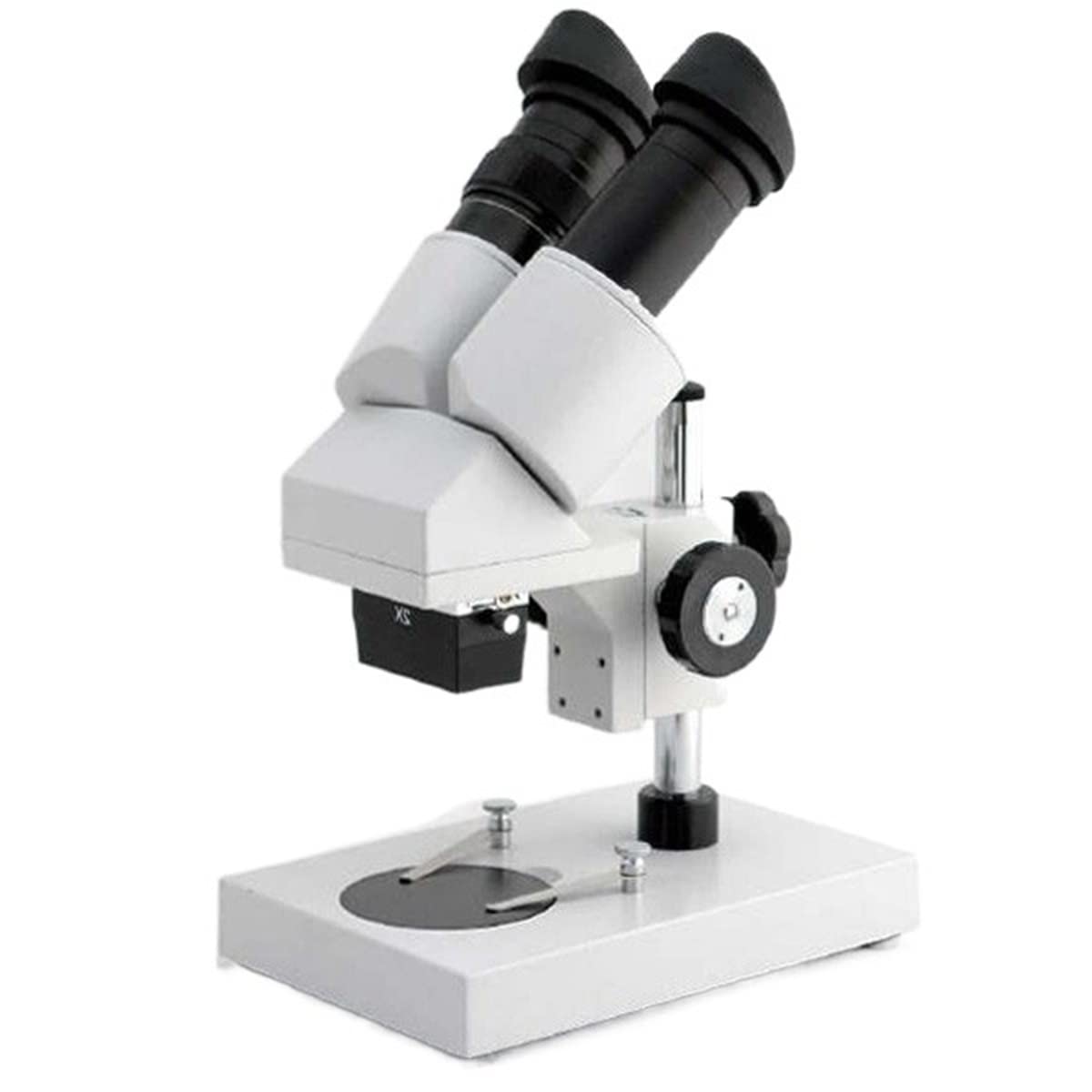 Microscopio Microscopio estéreo Binocular 20X
