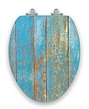 TOPSEAT Art of Acryl Elongated Toilet Seat w/Slow Close Chromed Metal Hinges, Wood, Shabby Chic